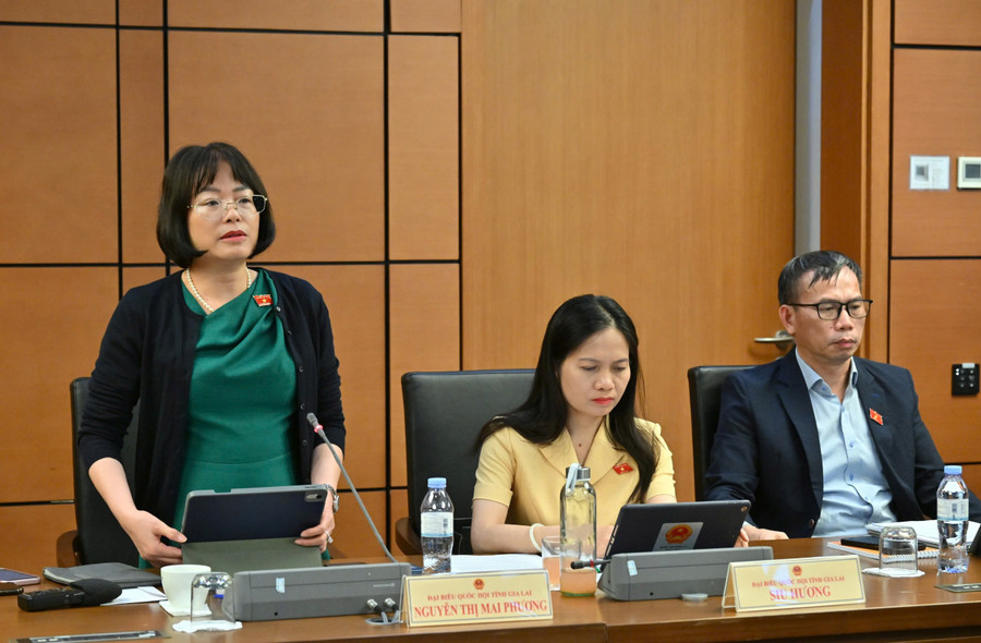ĐB Nguyễn Thị Mai Phương đề nghị xem xét lại các nguyên tắc hoạt động của 2 quỹ. Ảnh: Đoàn ĐBQH tỉnh z7173864888721-ed4de6b111f3f85e58c75a8d1ba7d3b0.jpg