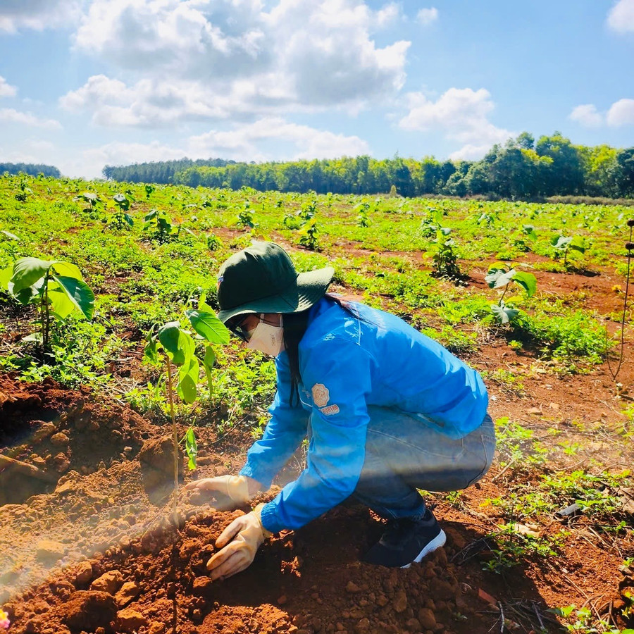 Cán bộ, đoàn viên, thanh niên các đơn vị cùng với người dân trên địa bàn đã trồng hơn 600 cây bằng lăng dọc 2 bên tuyến đường chính của làng Ngol Tă. Ảnh: Người dân cung cấp z6611648005193-2ad7e6377cc1df686fe649a092f0e558.jpg