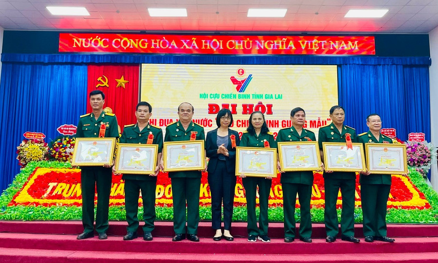 Ông Toàn (thứ 3 từ phải sang) nhận bằng khen của Chủ tịch UBND tỉnh tại Đại hội thi đua yêu nước CCB gương mẫu toàn tỉnh. Ảnh: Phương Dung z6753133020064-101c00cfa5e555d0c06d86eab6a61d51.jpg