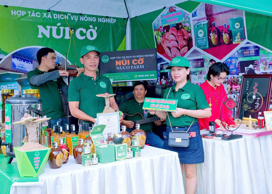 Hợp tác xã Dịch vụ nông nghiệp Núi Cờ (xã Ia Ka, huyện Chư Păh) hoạt động hiệu quả với 3 sản phẩm chế biến từ nấm linh chi đỏ được chứng nhận OCOP 3 sao. Ảnh do nhân vật cung cấp htx-nui-co.jpg