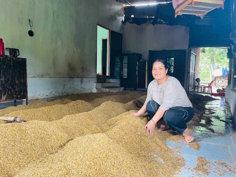 Người dân làng Wet (xã Chư Đăng Ya) nâng cao năng suất lúa nhờ được hỗ trợ kỹ thuật và giống lúa mới chất lượng cao. Ảnh: Hồng Thương h1.jpg