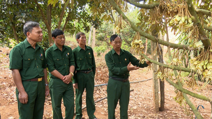 Hội CCB huyện Đak Đoa đã gắn việc triển khai học tập và làm theo gương bác với phong trào "Cựu chiến binh gương mẫu". Ảnh: Nhật Hào z6730328050273-9e6d688837ebaddda9319c641e748f00.jpg