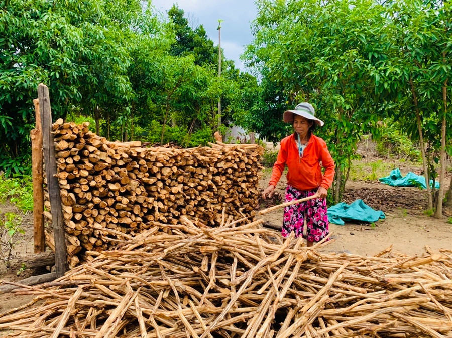 Đối với những hộ không có nhà sàn, củi sẽ được xếp gọn gàng vào một góc vườn. Ảnh Hồng Thương. z6783468300757-2e183aedf2de15c98b45810c8b558844.jpg