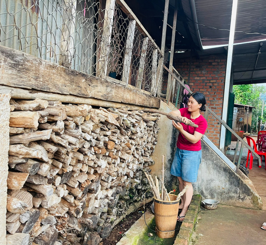 Người Jrai duy trì việc trữ củi dưới gầm nhà sàn nhằm phục vụ cho sinh hoạt hàng ngày. Ảnh: Hồng Thương z6783539195183-f87b9ce686e90531ece171652bbc2cd0.jpg