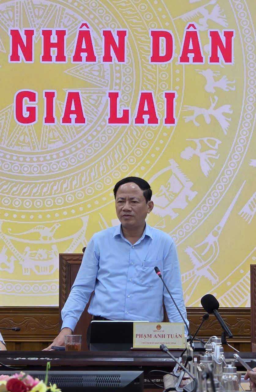 Chủ tịch UBND tỉnh Phạm Anh Tuấn phát biểu tại Hội nghị. Ảnh: Hồng Thương z6873435148240-d95cb44ea2256bc3e6d0008e98d4e6f2.jpg