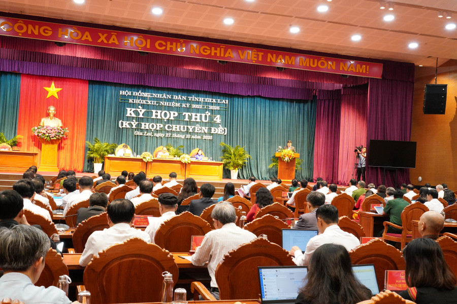 Quang cảnh kỳ họp. Ảnh: N.H. a3.jpg