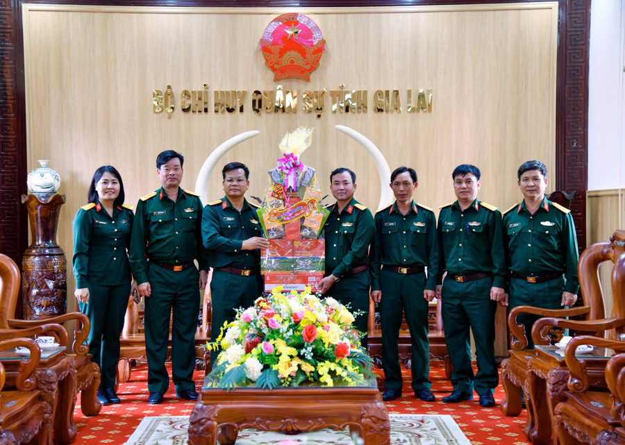 binh-doan-15-tham-chuc-tet-bo-chqs-tinh.jpg