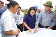 Chủ tịch UBND tỉnh Phạm Anh Tuấn khảo sát thực tế tại xã Canh Vinh. Ảnh: Tiến Sỹ
