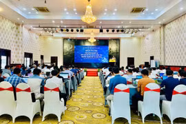 Quang cảnh hội nghị tập huấn. Ảnh: Trương Trang