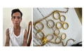 Gia Lai: Bắt giữ đối tượng phá két sắt, trộm 600 triệu đồng