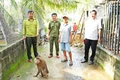 Người dân bàn giao cá thể khỉ đuôi lợn quý hiếm phát hiện trong vườn nhà.