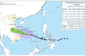 Dự báo chiều nay bão sẽ chỉ còn cách Quy Nhơn 120km. Ảnh: P.V