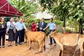 Gia Lai ban hành Chỉ thị tăng cường kết nghĩa với vùng đồng bào dân tộc thiểu số