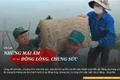 Gia Lai: Những mái ấm từ sự đồng lòng, chung sức
