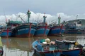 Tàu thuyền vào nơi neo đậu an toàn trước khi bão số 13 đổ bộ. Ảnh: P.V