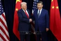 Tổng thống Mỹ Donald Trump (trái) trong cuộc gặp Chủ tịch Trung Quốc Tập Cận Bình tại Busan, Hàn Quốc ngày 30/10/2025. Ảnh: REUTERS/TTXVN
