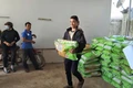 Cấp 8 tấn giống lúa TBR97 cho nông dân xã Ia Khươl