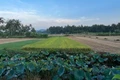 Gia Lai công bố 6 thủ tục hành chính nội bộ lĩnh vực trồng trọt và bảo vệ thực vật