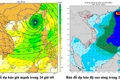Dự báo gió mạnh, sóng lớn trên vùng biển Gia Lai