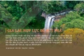 Gia Lai: Hợp lực để bứt phá