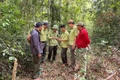 Gia Lai đặt mục tiêu nâng chỉ số PGI lên 25,41 điểm