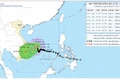 Dự báo chiều 30-11, bão số 15 cách bờ biển Gia Lai khoảng 340 km, gió giật cấp 13