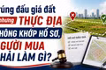 Trúng đấu giá đất nhưng thực địa không khớp hồ sơ, người mua phải làm gì?