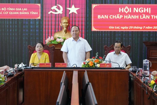 Đại hội Đảng bộ các cơ quan Đảng tỉnh lần thứ nhất dự kiến diễn ra ngày 11 và 12-8
