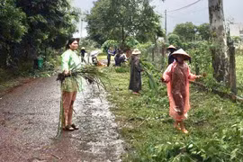 Hội LHPN xã Hà Bầu tham gia vệ sinh, phát dọn đường làng, ngõ xóm. Ảnh: Lê Nam