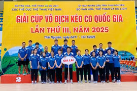 Gia Lai đã giành được 11 huy chương ở giải năm nay.