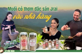 Muối cỏ thơm đặc sản Jrai vào nhà hàng