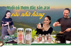 Muối cỏ thơm đặc sản Jrai vào nhà hàng