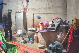 Truy tìm đối tượng xông vào nhà dân cướp giật vàng, điện thoại lúc rạng sáng.