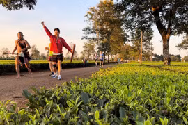 Diện tích hơn 62 ha chè tại xã Biển Hồ sẽ được giữ nguyên trạng để phục vụ mục tiêu phát triển du lịch sinh thái và bảo vệ cảnh quan