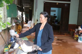 Tấm lòng "vàng" tri ân người có công ở Đức Cơ