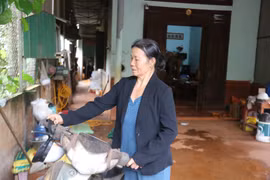 Tấm lòng "vàng" tri ân người có công ở Đức Cơ