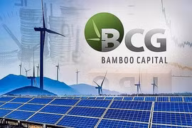 Tập đoàn Bamboo Capital bị phạt do vi phạm công bố thông tin