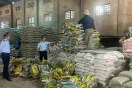 Sản xuất 67,2 tấn phân bón giả nhãn hiệu, bị phạt 246 triệu đồng