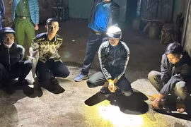 Gia Lai: Tạm giữ hình sự 4 đối tượng tàng trữ trái phép chất ma túy