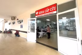 Bị chó nhà cắn, người đàn ông ở Ia Pa nhập viện nghi mắc bệnh dại