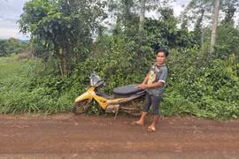 Gia Lai: Bắt đối tượng trộm xe máy của người đi làm rẫy