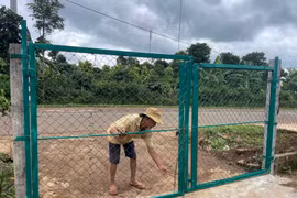 Bất an với các đối tượng trộm chó manh động, uy hiếp chủ nhà