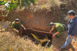 Công an truy tìm nguồn gốc tấm ván gỗ trong vụ cướp ngân hàng.