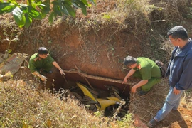 Công an truy tìm nguồn gốc tấm ván gỗ trong vụ cướp ngân hàng.
