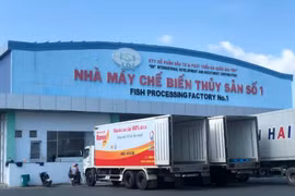 Cho công ty mẹ vay, Công ty I.D.I. bị phạt 137,5 triệu đồng