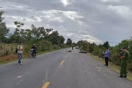 Gia Lai: Tông vào bò trên quốc lộ 25, 1 người đi xe máy tử vong