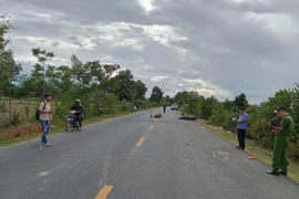 Gia Lai: Tông vào bò trên quốc lộ 25, 1 người đi xe máy tử vong