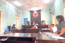 Tổng Công ty Điện lực miền Trung thua kiện, phải trả hơn 11,6 tỷ đồng cho 2 doanh nghiệp điện mặt trời 