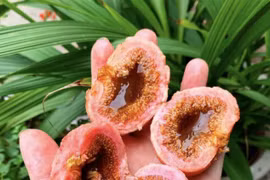 Người đàn ông nhập viện cấp cứu vì ăn quá nhiều quả vả