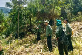 Cán bộ, nhân viên Ban quản lý rừng phòng hộ Bắc Ia Grai kiểm tra rừng. Ảnh: L.N
